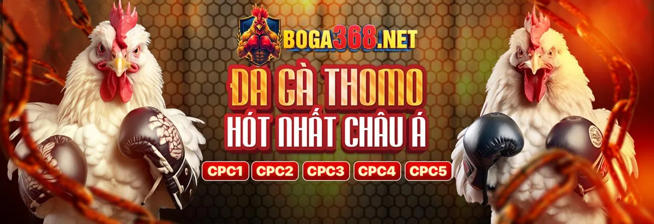Hình ảnh chính ứng dụng Zbet68 trên điện thoại